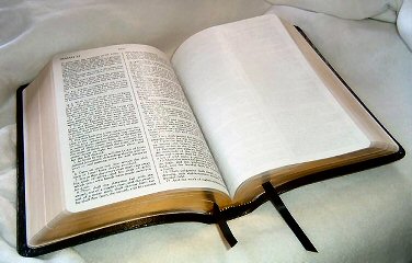 interleaved Bible