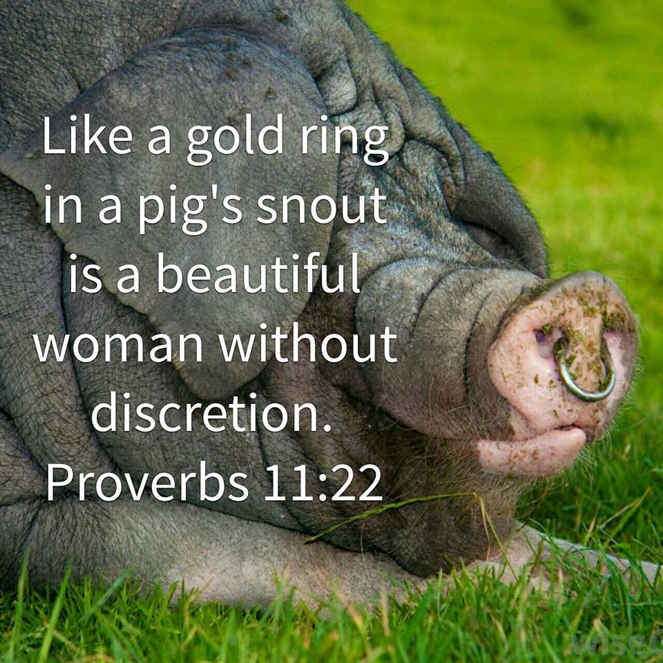 Proverbs 11:22