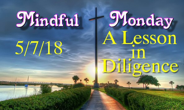 Mindful Monday a lesson in diligence